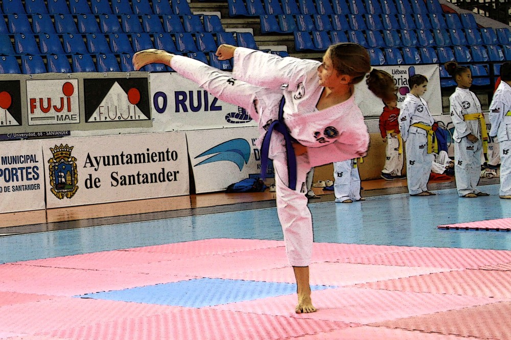 Taekwondo Dic 2016 (152).jpg